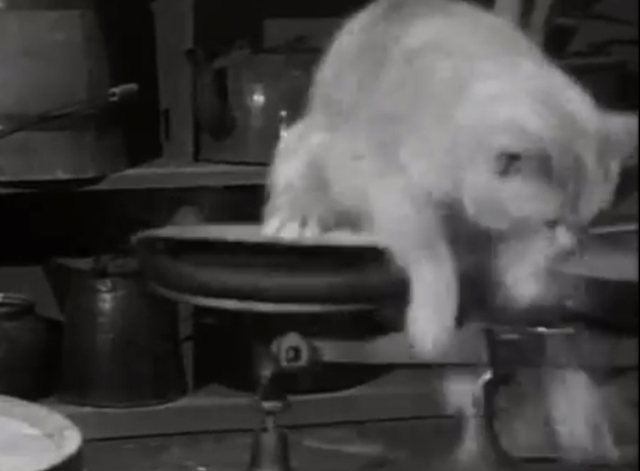 The Westerner - The Courting of Libby - orange tabby landing on scale