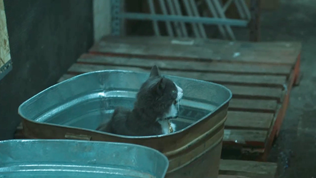 What We Do in the Shadows - Manhattan Night Club - gray and white cat familiar Sam in bucket