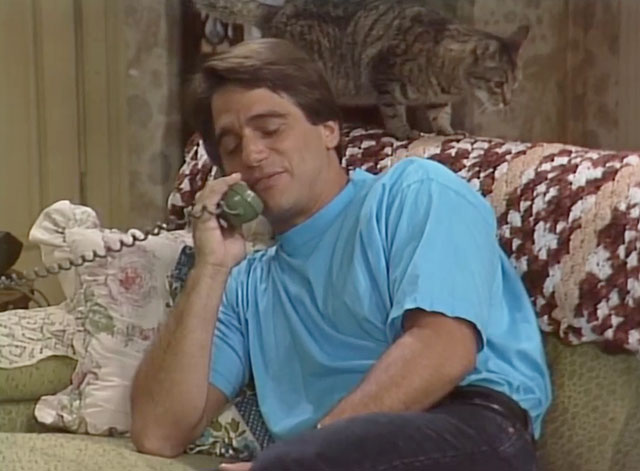 Who's the Boss? - In Your Dreams - Tony Danza on couch with brown tabby cat Fiorello behind his head