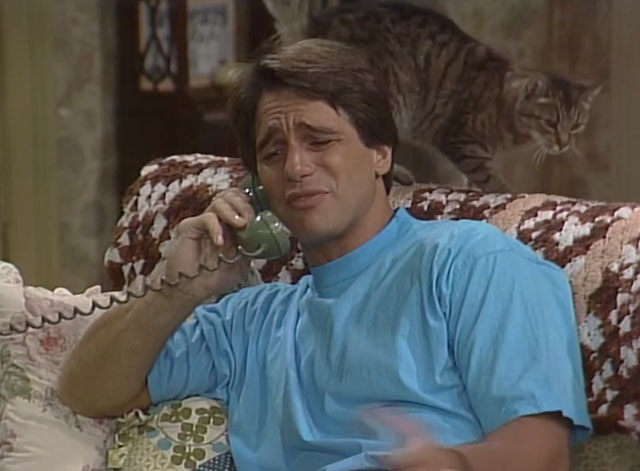 Who's the Boss? - In Your Dreams - Tony Danza on couch with brown tabby cat Fiorello behind his head