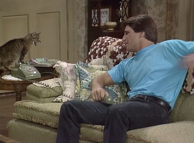Who's the Boss? - In Your Dreams - Tony Danza on couch with brown tabby cat Fiorello on table