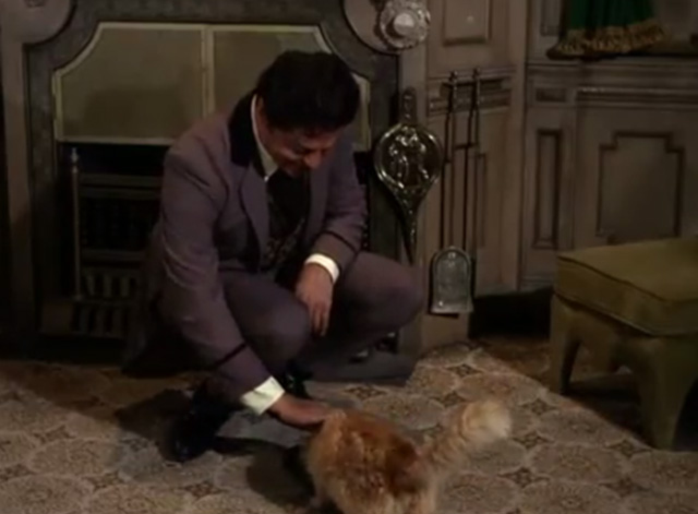 The Wild Wild West - The Night of the Big Blackmail - Artemus Gordon Ross Martin feeding longhaired ginger tabby cat
