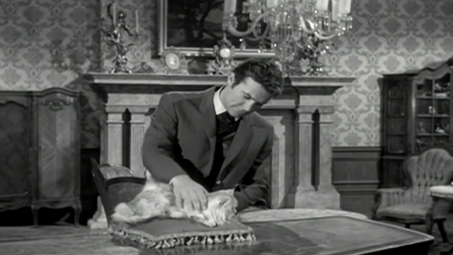 The Wild Wild West - The Night of the Burning Diamond - white long-haired cat petted by James T. West Robert Conrad
