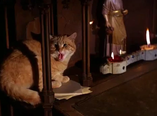 The Wild Wild West - The Night of the Fugitives - ginger tabby cat hissing on church altar