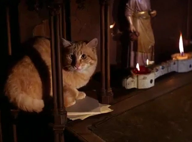 The Wild Wild West - The Night of the Fugitives - ginger tabby cat sitting on church altar