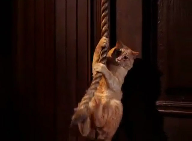 The Wild Wild West - The Night of the Fugitives - ginger tabby cat hanging onto bell rope