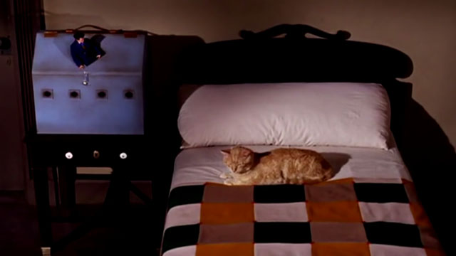 The Wild Wild West - The Night of the Raven - Jim West Robert Conrad climbing out of box with orange tabby cat on bed