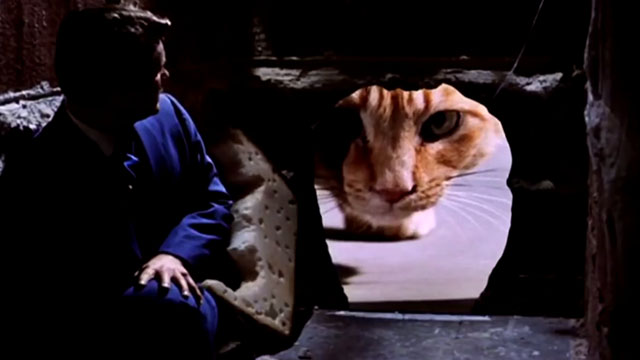 The Wild Wild West - The Night of the Raven - Jim West Robert Conrad in hole with giant orange tabby cat looking in