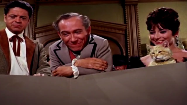 The Wild Wild West - The Night of the Raven - Artemus Gordon Ross Martin Dr. Loveless Michael Dunn Antionette Phoebe Dorin and orange tabby cat looking into small arena