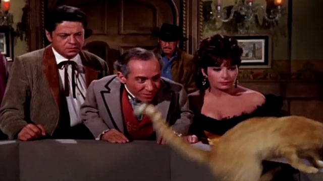 The Wild Wild West - The Night of the Raven - Artemus Gordon Ross Martin Dr. Loveless Michael Dunn Antionette Phoebe Dorin watch orange tabby cat run from arena