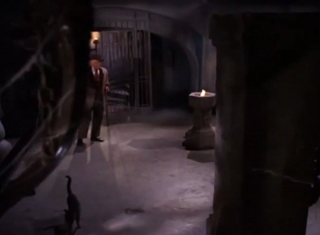 The Wild Wild West - The Night of the Sabatini Death - Ned Alan Hale Jr. lets go of tabby cat inside crypt