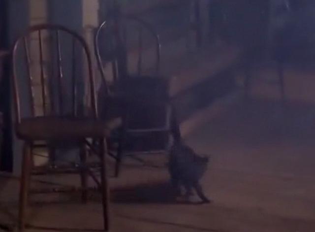 The Wild Wild West - The Night of the Watery Death - black cat jumping down from barrel