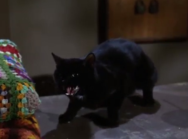 The Wild Wild West - The Night of the Wolf - black cat on counter hissing