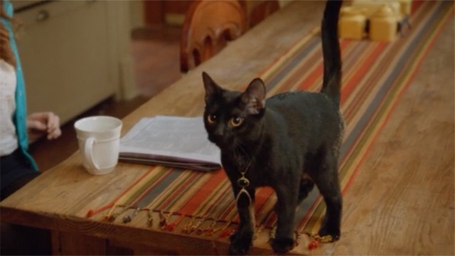 Witches of East End - Wendy as black cat startles everyone