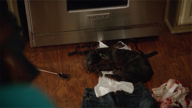 Witches of East End - Wendy as black cat dead