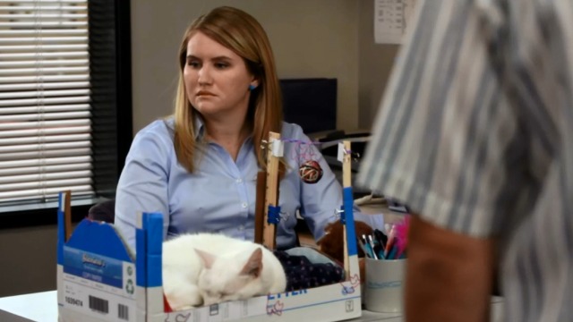 Workaholics - Save the Cat angry Jillian with white cat Denny's in cat bed on desk