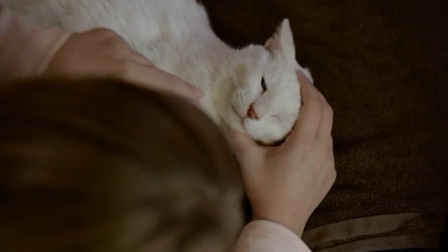 Workaholics - Save the Cat Jillian holding white cat Denny's head