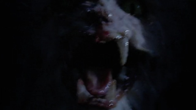 The X-Files - Teso dos Bichos - bloody cat puppet attacks Scully