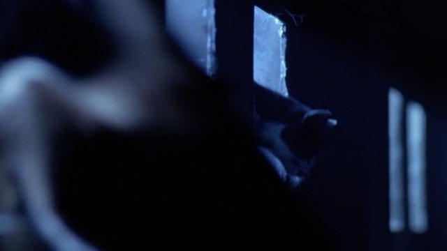 The X-Files - Teso dos Bichos - cats jumping down into sewer
