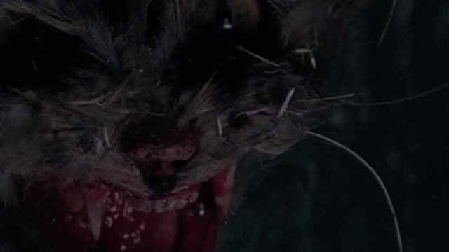 The X-Files - Teso dos Bichos - close up of bloody cat puppet