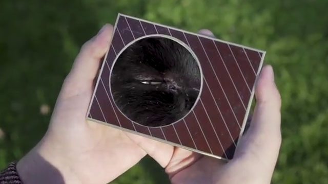 Ages - Ross Blake - black cat Kimba Sharp appearing in photo frame held by man