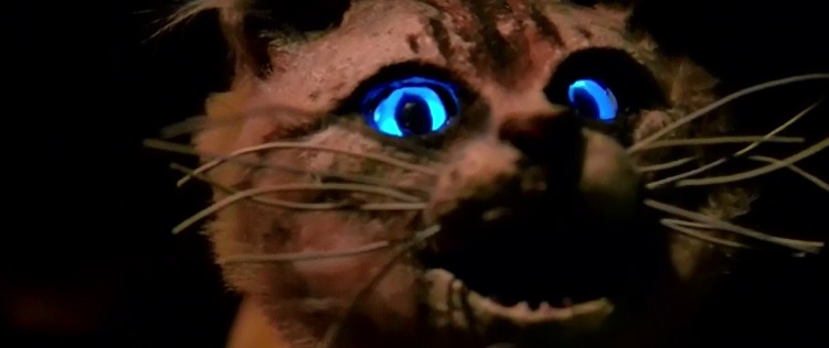 Asleep in the Deep - Mastadon - Skye cat as puppet