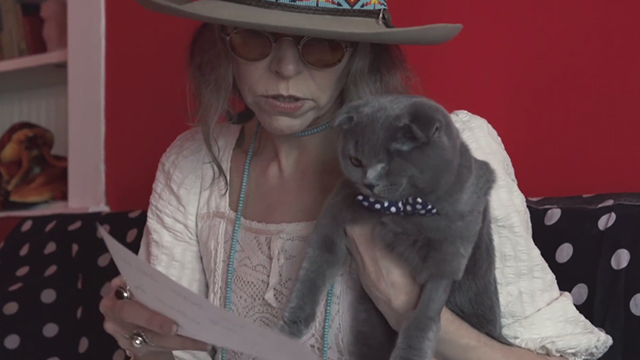 Autumn Sunglasses - Robyn Hitchcock - one eyed grey Scottish fold cat Tubby V. Stardust with Gillian Welch