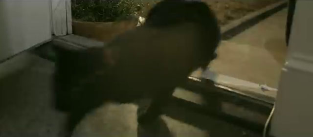 Black Cat - Mayday Parade - black cat coming through door