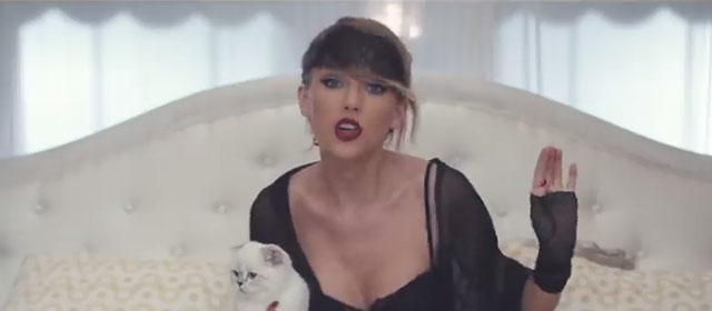 Blank Space - Taylor Swift - with white and tabby Scottish fold cat Olivia Benson