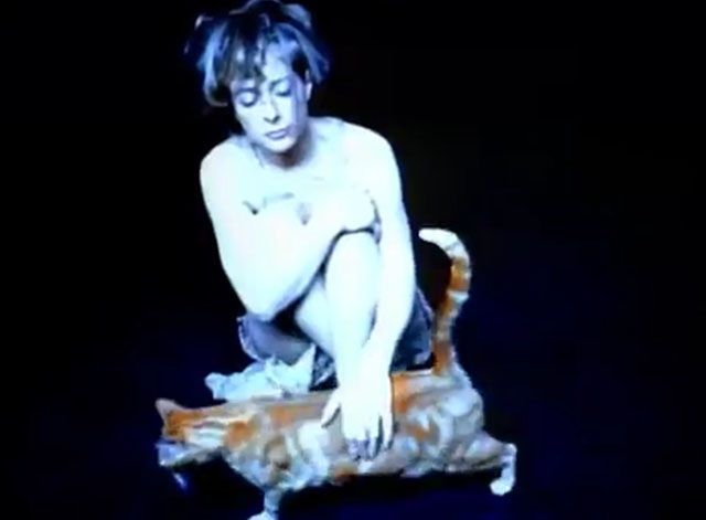 Coma - Max Sharam - marble tabby cat walking past singer