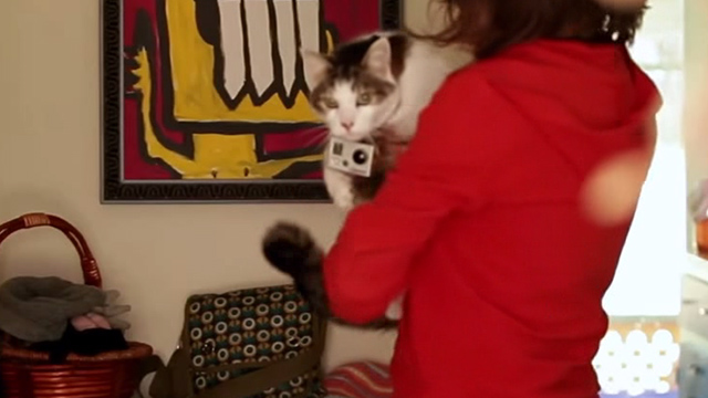 Superchunk - Crossed Wires - white and tabby cat with video camera returning home