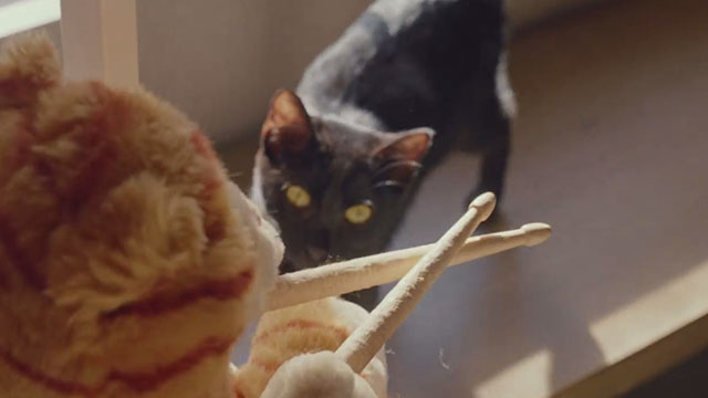 Crutch - Band of Horses - black cat looking at cat puppet with drumsticks