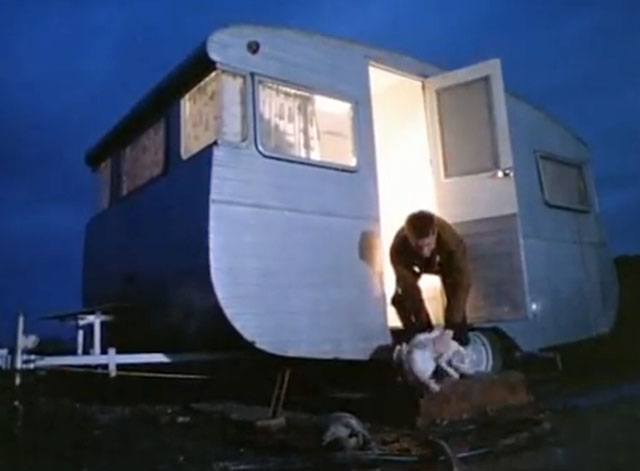 Date with Destiny - Mental as Anything - Greedy Smith putting out cat