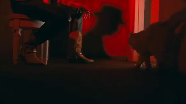 Dead of Night - Orville Peck - longhair ginger tabby cat walking down dark hallway