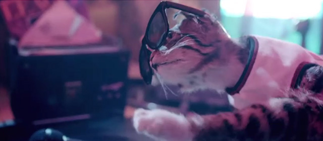 Drunk - Ed Sheeran - fake tabby cat spinning records