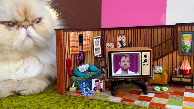 Everyone and Everything - Ringo Starr - white Persian cat looking at tiny living room scene with Ringo on TV set