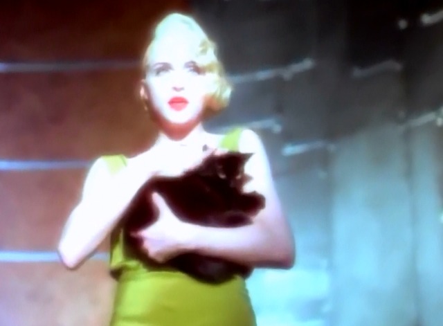 Express Yourself - Madonna holding black cat to her breast