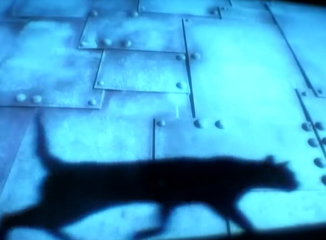 Express Yourself - Madonna - black cat shadow against wall