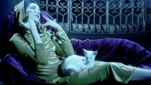Face to Face - Siouxsie Sioux sitting on lounge chair with white Oriental cat on lap