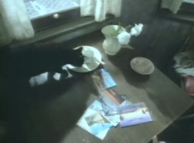 The Other Ones - Holiday - black cat on table with postcards