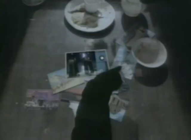 The Other Ones - Holiday - black cat walking across postcards on table