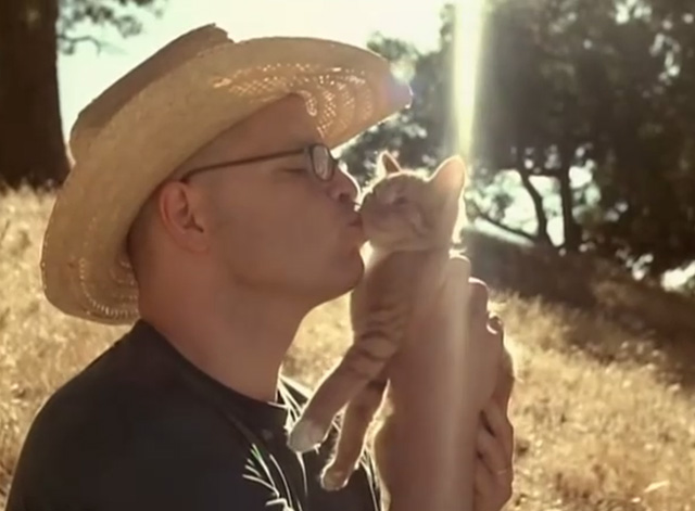 Island in the Sun - Weezer - Patrick Wilson kissing ginger tabby kitten