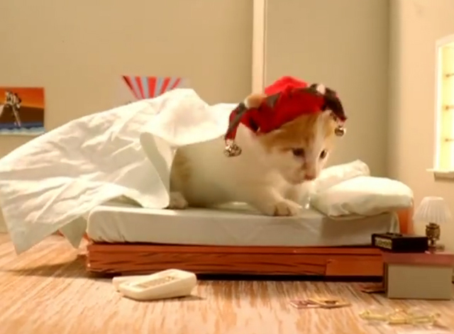 The Joker - Fatboy Slim with Bootsy Collins - orange and white tabby kitten wearing joker hat in bed