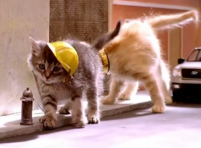 The Joker - Fatboy Slim with Bootsy Collins - kittens dressed as construction workers