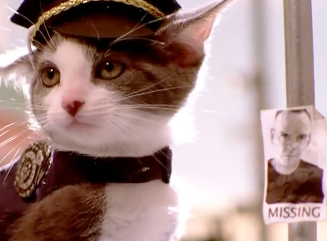 The Joker - Fatboy Slim with Bootsy Collins - grey and white tabby kitten dressed as policeman