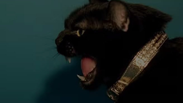 Beyoncé - Kitty Kat - giant black cat hissing