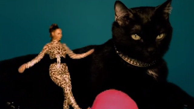 Beyoncé - Kitty Kat - Beyoncé with giant black cat