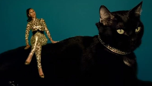 Beyoncé - Kitty Kat - Beyoncé sitting on giant black cat