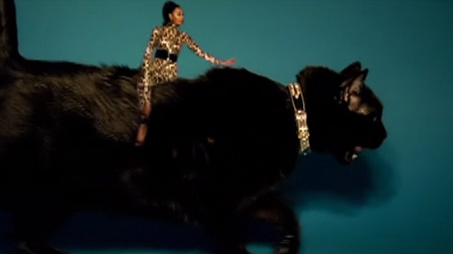 Beyoncé - Kitty Kat - Beyoncé riding on giant black cat
