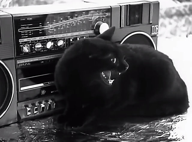 Kool Thing - Sonic Youth - black cat yowling next to boom box